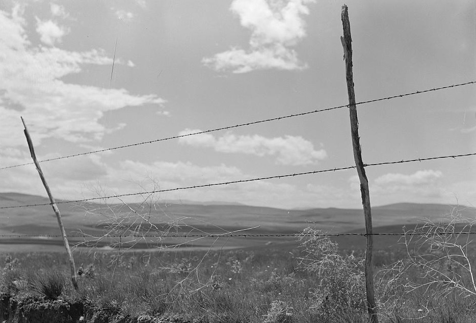 Barbed Wire Defines the Edge, Not the Direction.